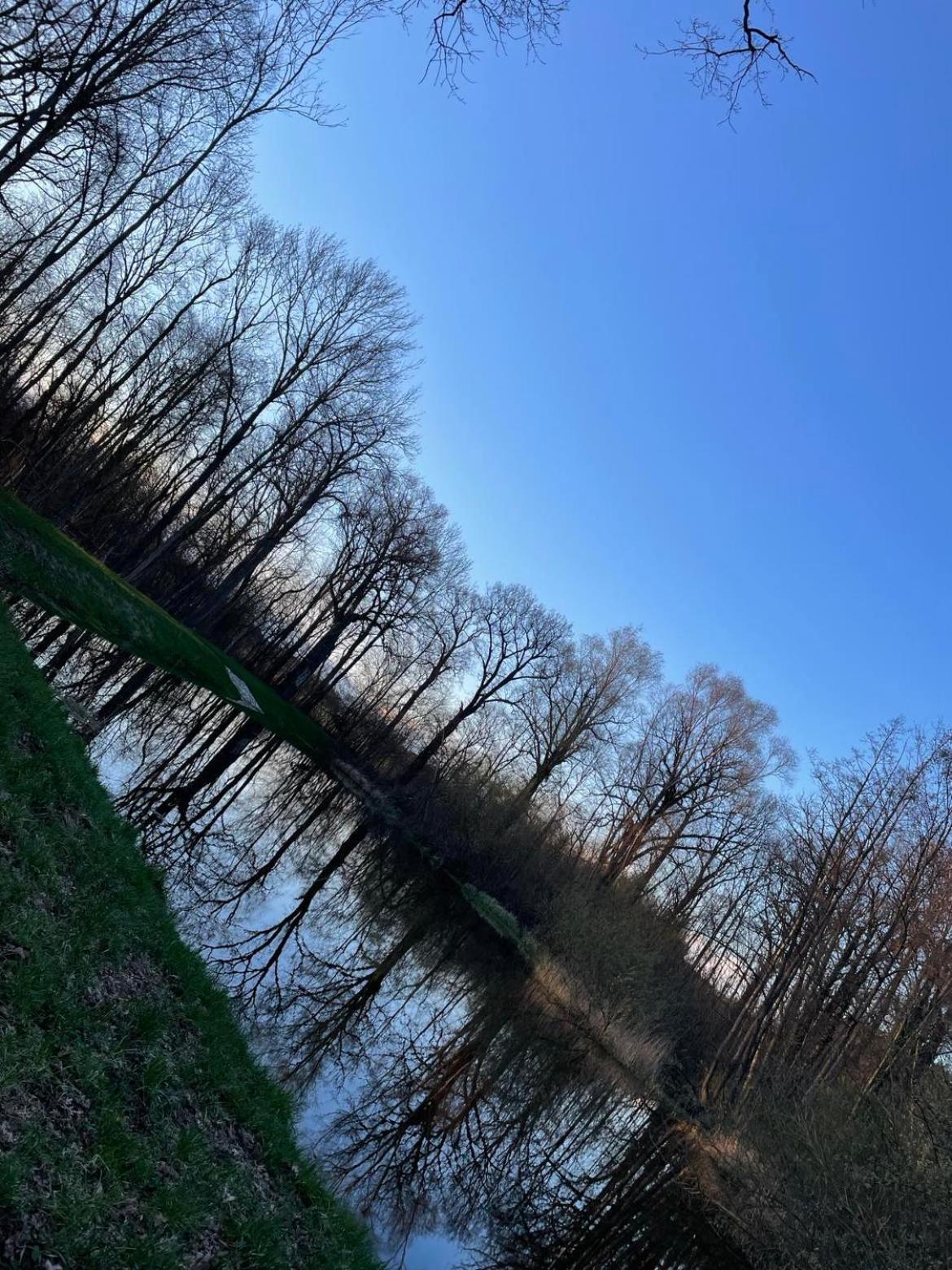 Domki Pod Debami Mojecice Dış mekan fotoğraf